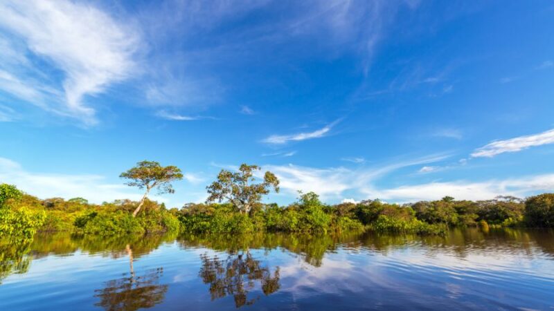 Brasil enfrenta desafíos ambientales y de conservación de la Amazonía
