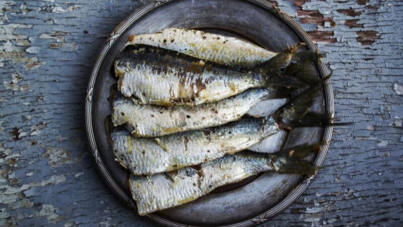 Sardina ahumada: propiedades, recetas y cómo disfrutarla al máximo