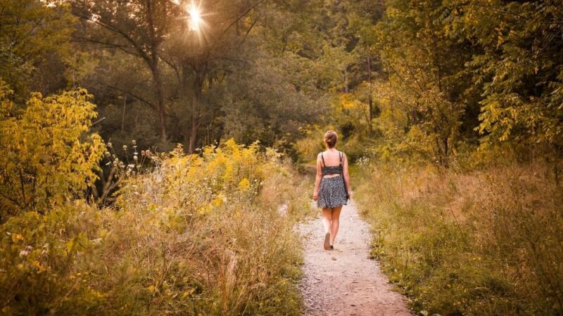 Los beneficios psicológicos de caminar en el bosque: una terapia natural para la mente moderna